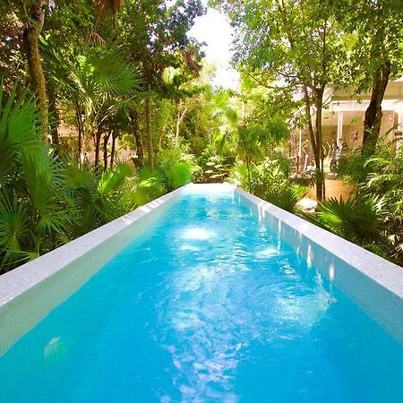אקומל Tao Luxury Condo Mexico מראה חיצוני תמונה