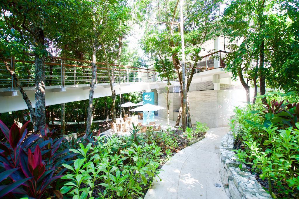 אקומל Tao Luxury Condo Mexico מראה חיצוני תמונה